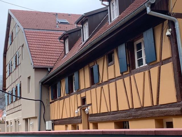 Villa Coeur d'Alsace Colmar Vignobles Ouest à Wintzenheim Extérieur photo