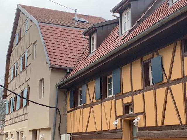 Villa Coeur d'Alsace Colmar Vignobles Ouest à Wintzenheim Extérieur photo