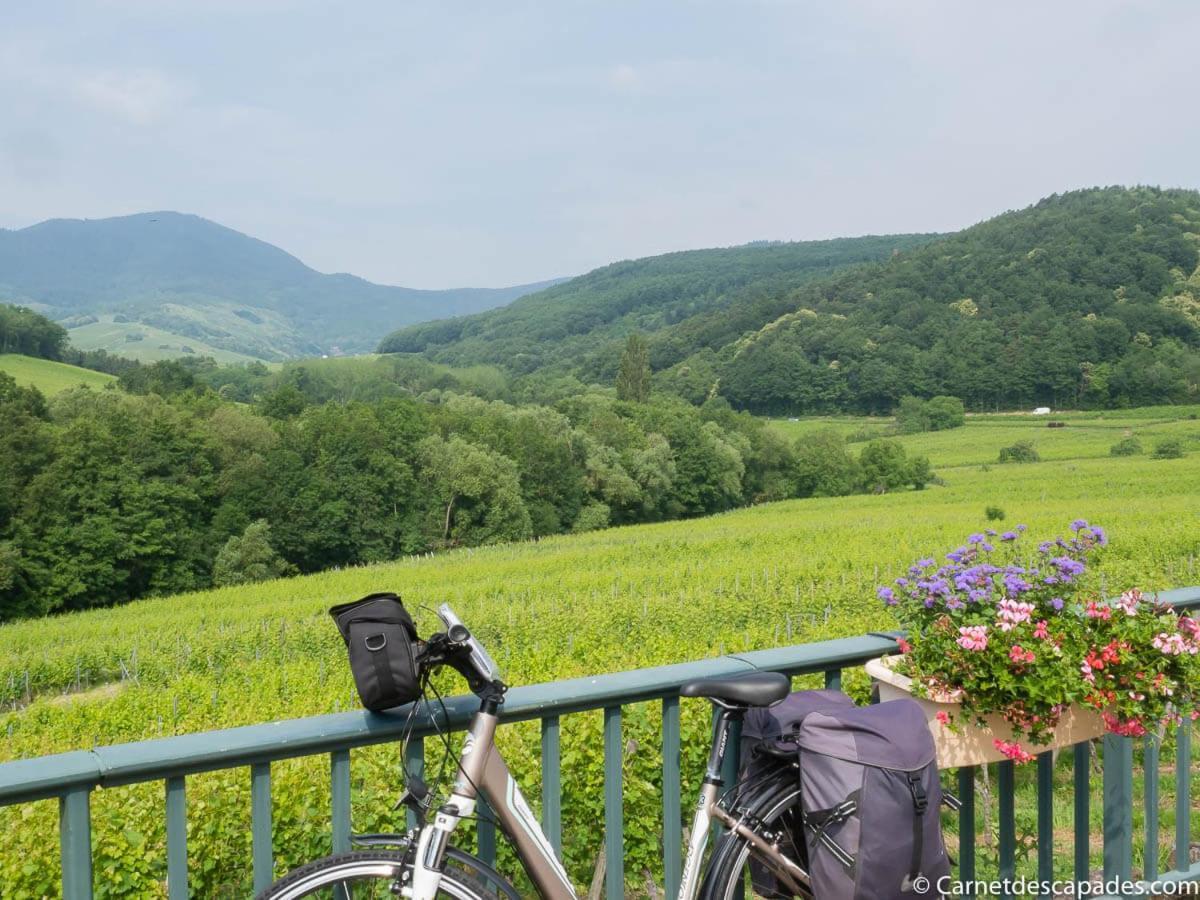Villa Coeur d'Alsace Colmar Vignobles Ouest à Wintzenheim Extérieur photo