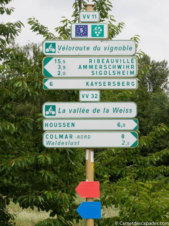 Villa Coeur d'Alsace Colmar Vignobles Ouest à Wintzenheim Extérieur photo