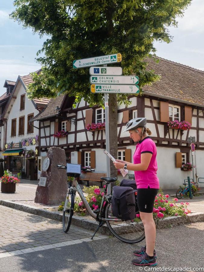 Villa Coeur d'Alsace Colmar Vignobles Ouest à Wintzenheim Extérieur photo