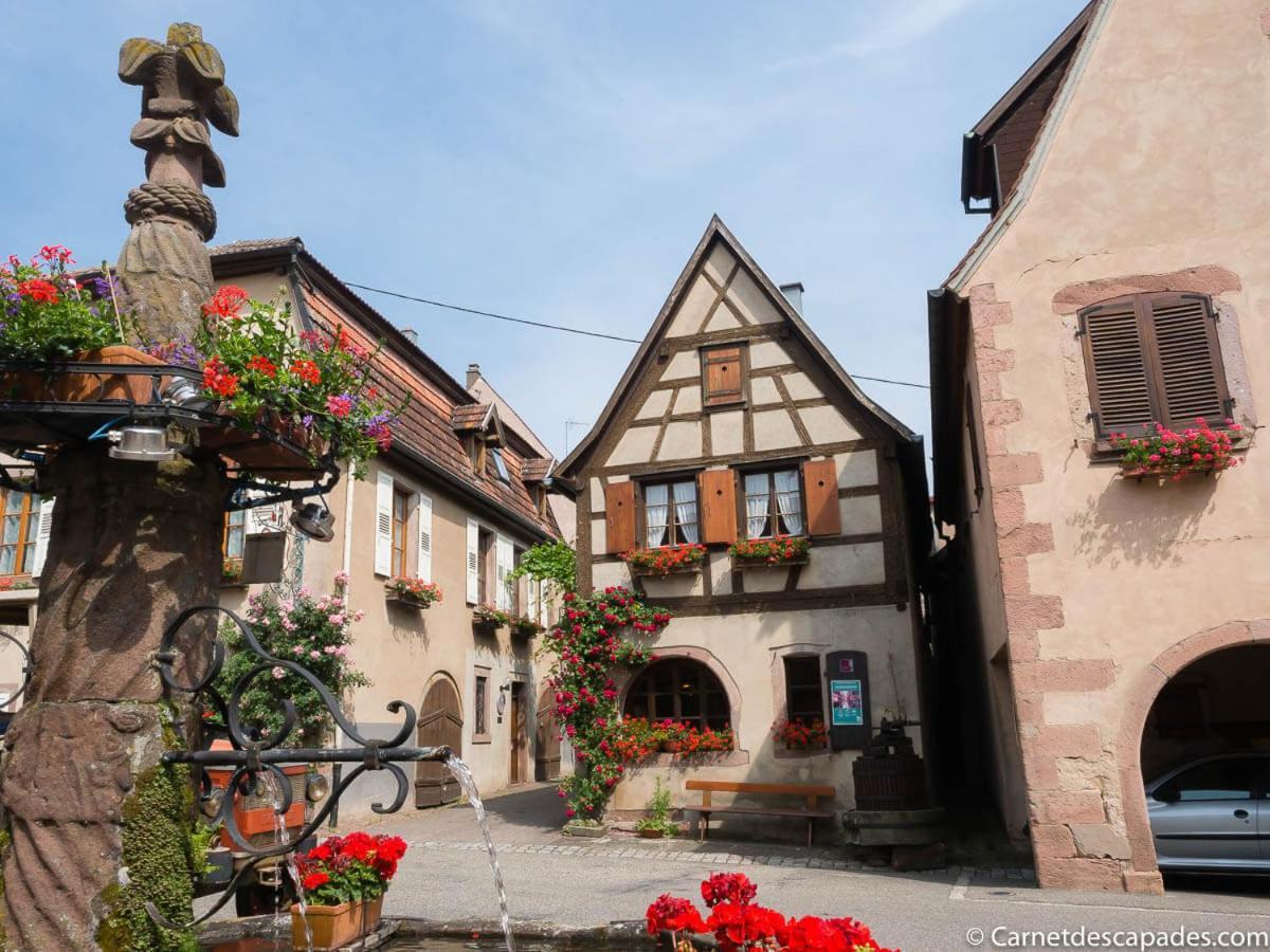 Villa Coeur d'Alsace Colmar Vignobles Ouest à Wintzenheim Extérieur photo