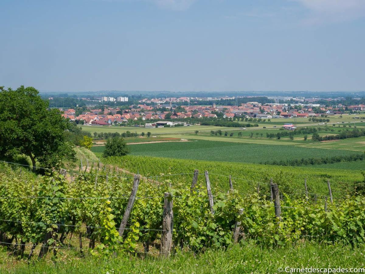 Villa Coeur d'Alsace Colmar Vignobles Ouest à Wintzenheim Extérieur photo