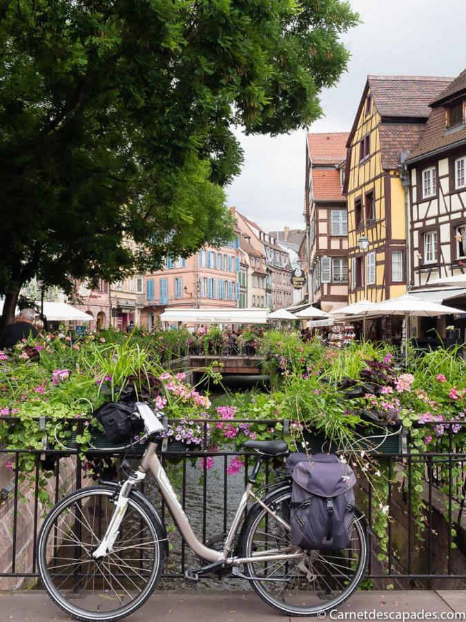 Villa Coeur d'Alsace Colmar Vignobles Ouest à Wintzenheim Extérieur photo