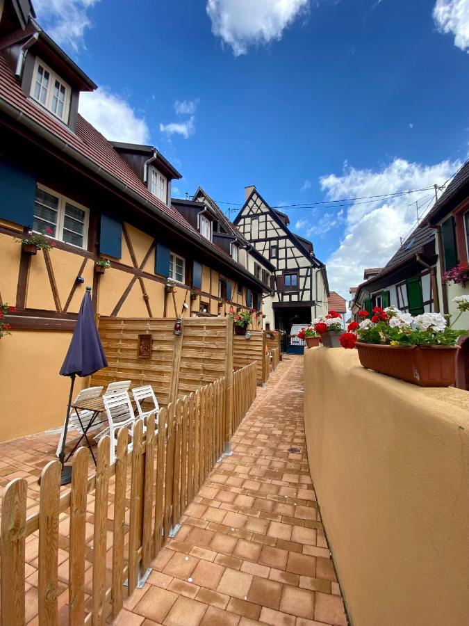 Villa Coeur d'Alsace Colmar Vignobles Ouest à Wintzenheim Extérieur photo