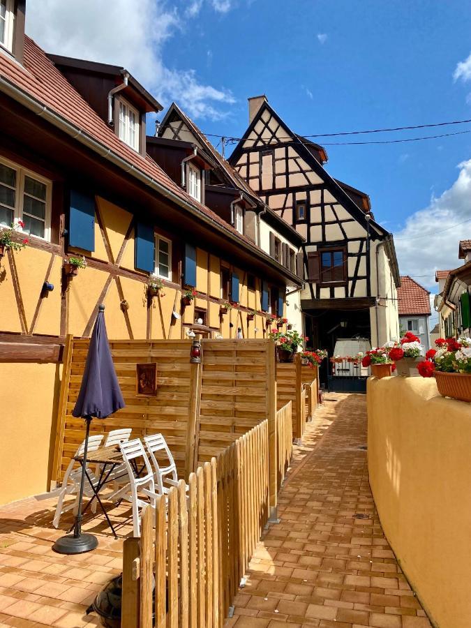 Villa Coeur d'Alsace Colmar Vignobles Ouest à Wintzenheim Extérieur photo