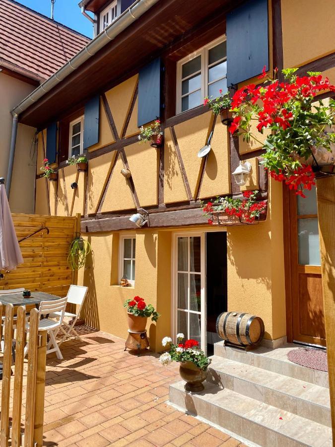 Villa Coeur d'Alsace Colmar Vignobles Ouest à Wintzenheim Extérieur photo