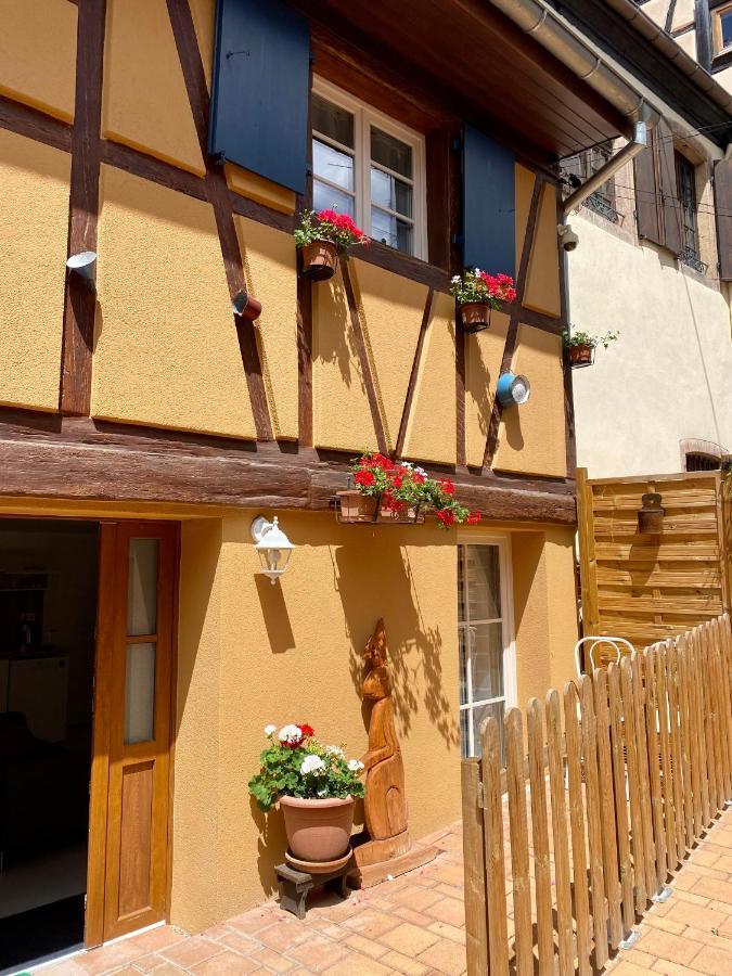 Villa Coeur d'Alsace Colmar Vignobles Ouest à Wintzenheim Extérieur photo