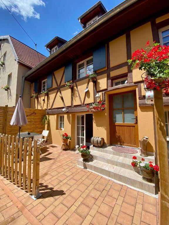 Villa Coeur d'Alsace Colmar Vignobles Ouest à Wintzenheim Extérieur photo