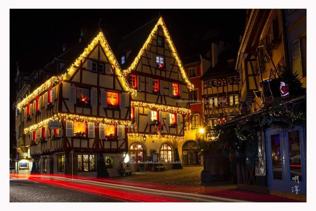 Villa Coeur d'Alsace Colmar Vignobles Ouest à Wintzenheim Extérieur photo