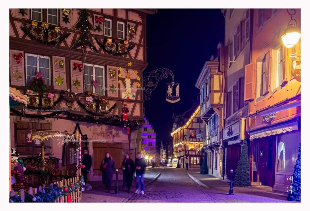 Villa Coeur d'Alsace Colmar Vignobles Ouest à Wintzenheim Extérieur photo