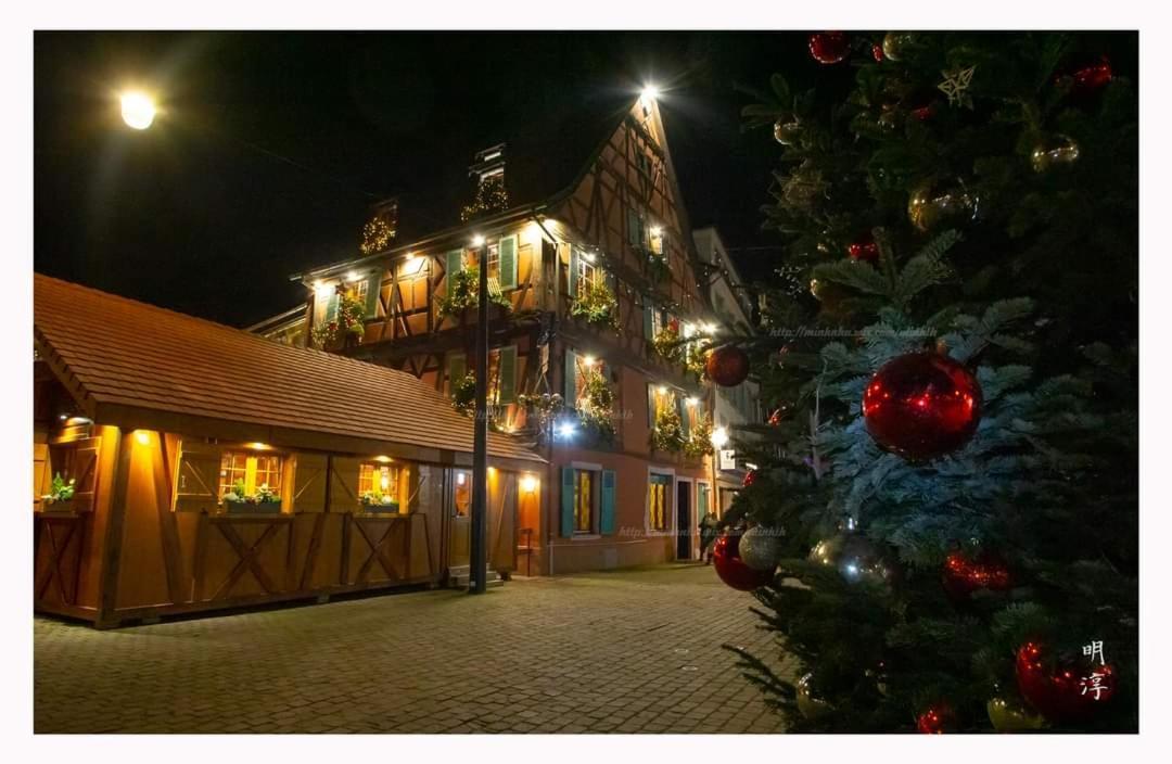 Villa Coeur d'Alsace Colmar Vignobles Ouest à Wintzenheim Extérieur photo