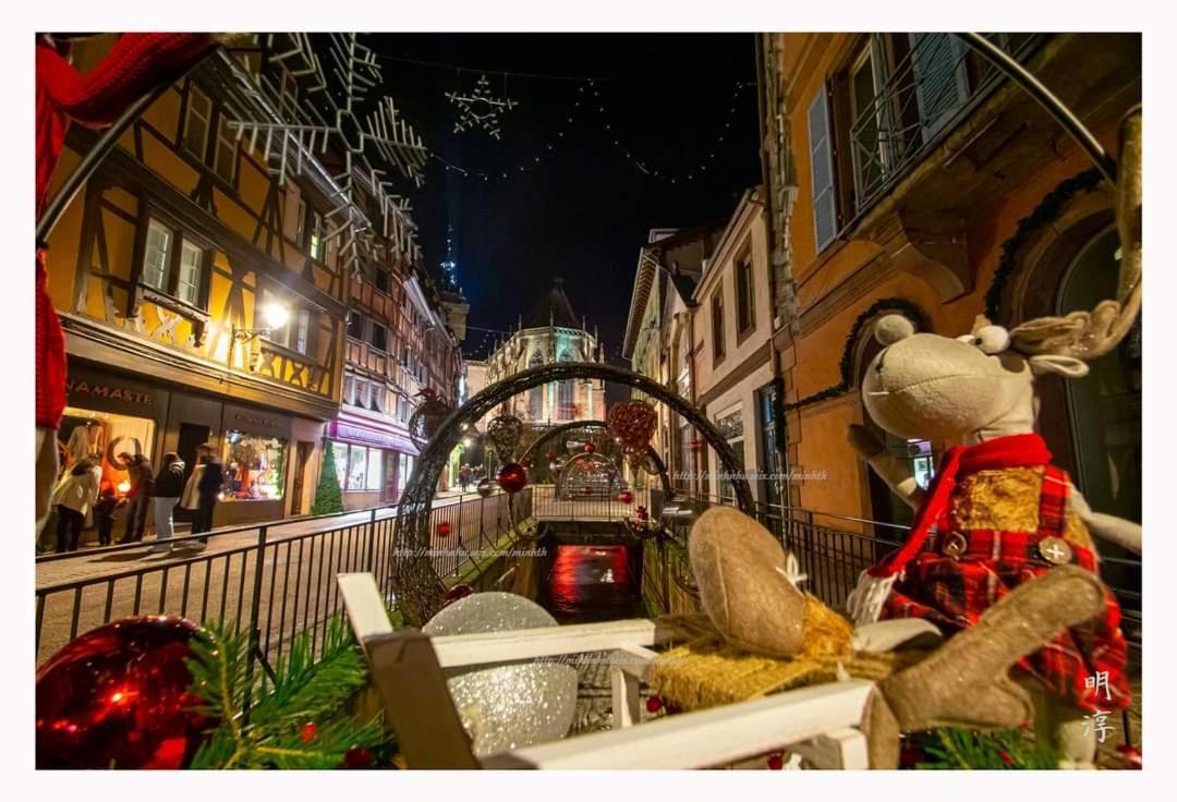 Villa Coeur d'Alsace Colmar Vignobles Ouest à Wintzenheim Extérieur photo