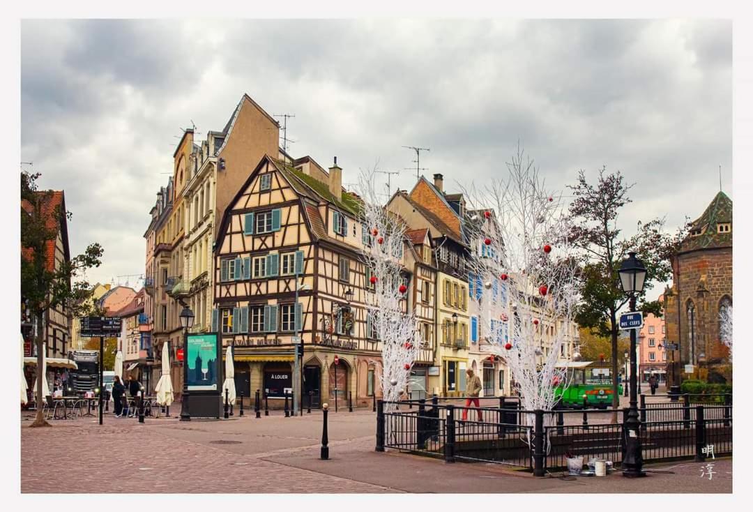 Villa Coeur d'Alsace Colmar Vignobles Ouest à Wintzenheim Extérieur photo